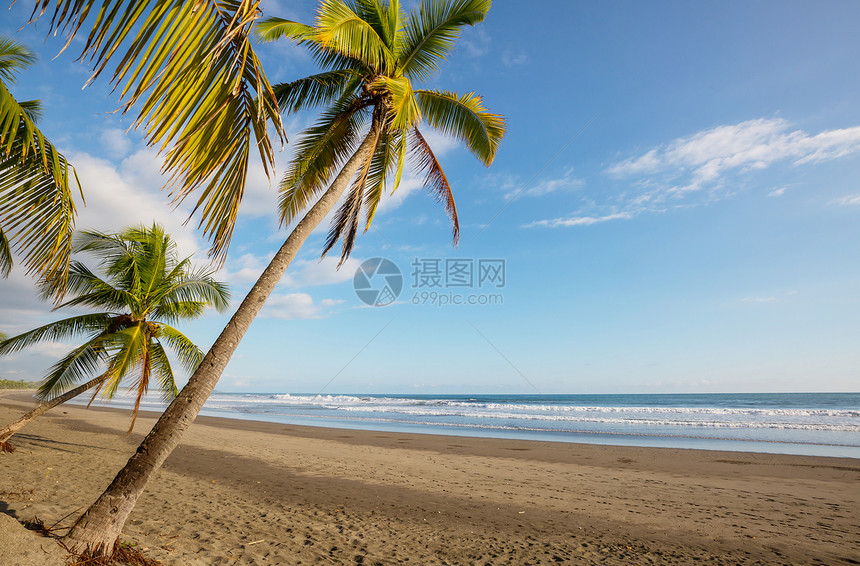 热带海滩热带海滩上的宁静图片