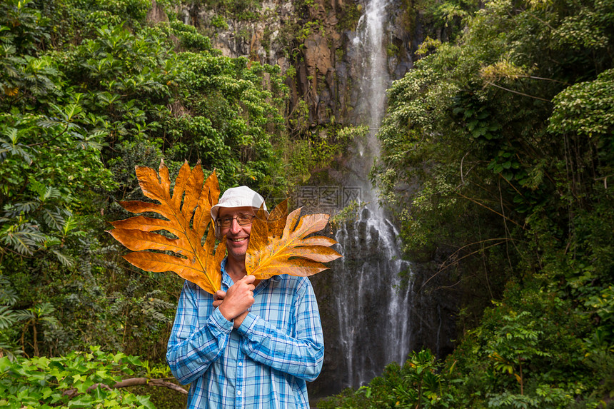 夏威夷徒步旅行徒步旅行者绿色丛林,夏威夷,美国图片