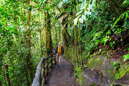 哥斯达黎加的丛林徒步旅行者图片
