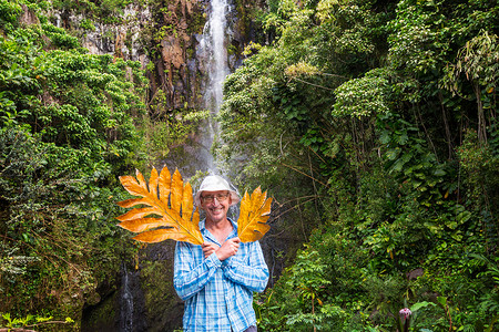 夏威夷徒步旅行徒步旅行者绿色丛林,夏威夷,美国图片