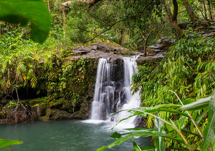 美国夏威夷岛热带雨林丽的瀑布图片