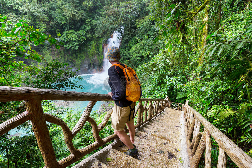洲哥斯达黎加徒步旅行绿色热带丛林图片