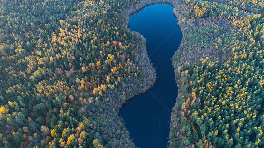 美丽的湖泊树木的秋天景观图片