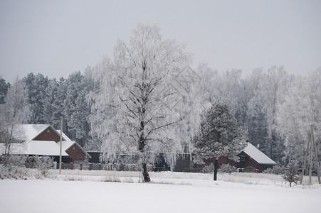 冰湖岸边的小屋,然后冬天的森林图片
