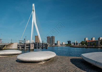 鹿特丹城市景观与伊拉斯谟桥荷兰南部图片