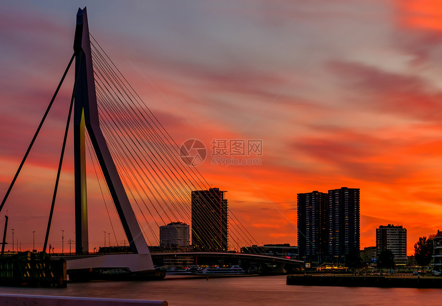 鹿特丹城市景观与伊拉斯谟桥日落荷兰南部图片