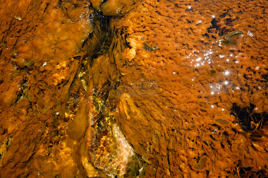 美国怀俄明州黄石公园的温泉图片