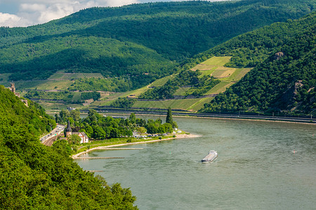 德国莱茵河谷莱茵峡谷的葡萄园图片