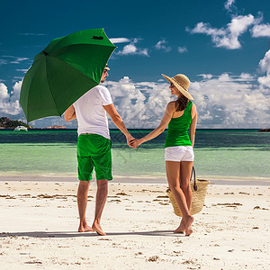 绿色的夫妇塞舌尔的热带海滩上塞舌尔海滩上绿色的夫妇图片