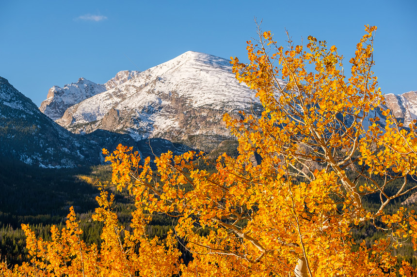 科罗拉多州洛基山的秋天秋天洛基山公园科罗拉多,美国图片