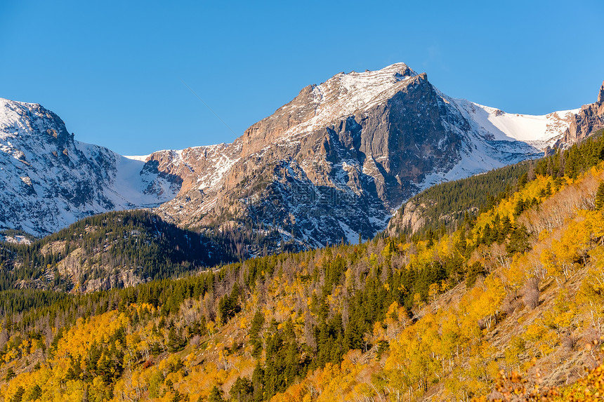 秋天岩石山上的阿斯彭树林秋天的白杨树林洛基山公园科罗拉多,美国图片