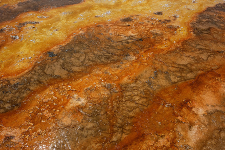 黄石温泉美国怀俄明州黄石公园的温泉图片