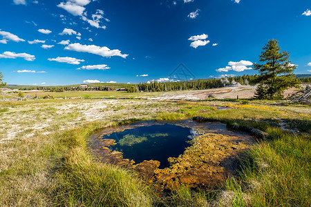 黄石温泉美国怀俄明州黄石公园的温泉图片