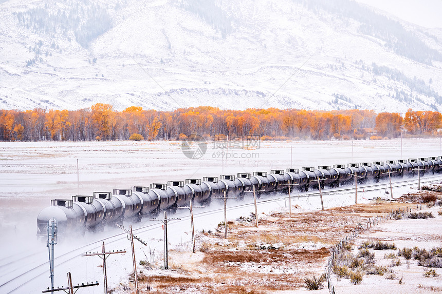 运输车的火车季节变化,雪秋树洛基山,科罗拉多州,美国图片