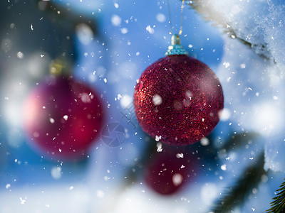 诞树红球装饰与真正的雪图片