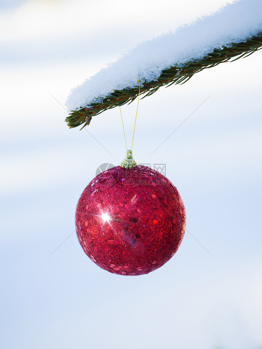 圣诞树红球装饰与真正的雪图片