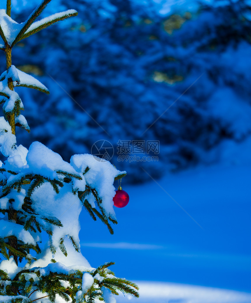 诞树红球装饰与真正的雪图片