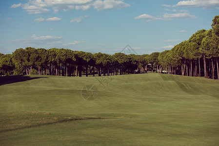 高尔夫球场景观美丽的新鲜日出高尔夫球场图片