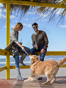 秋天的时候,夫妇只狗空荡荡的海滩酒吧里喝啤酒海滩上的轻夫妇图片