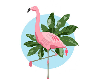 火烈鸟卡通动物鸟类的粉红色火烈鸟蓝色背景与绿叶蓝色背景上的粉红色火烈鸟背景