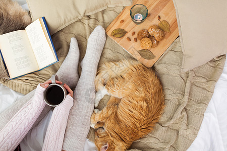 猫女宠物,湿气人的女人带着咖啡,书,饼干红色的塔比猫睡家里的毯子秋天女人带着咖啡红猫睡床上背景