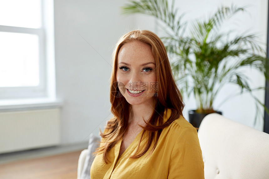 商业人的微笑的红头发女人办公室的肖像办公室微笑的红头发女人的肖像图片