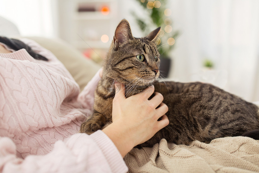 宠物,潮格人的女主与塔比猫床上家家里Tabby猫床上亲密主人图片