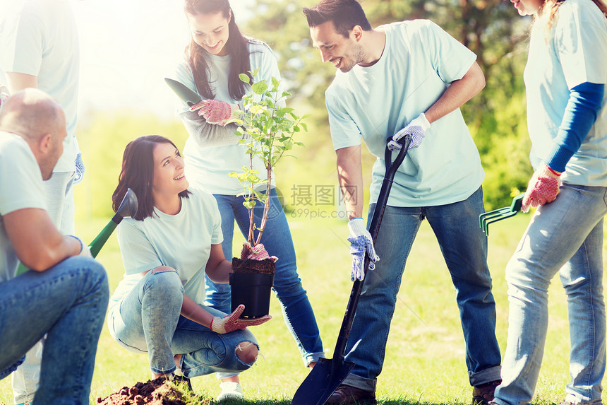 志愿服务慈善人生态理念群快乐的志愿者公园里植树用铲子挖洞群志愿者公园植树图片