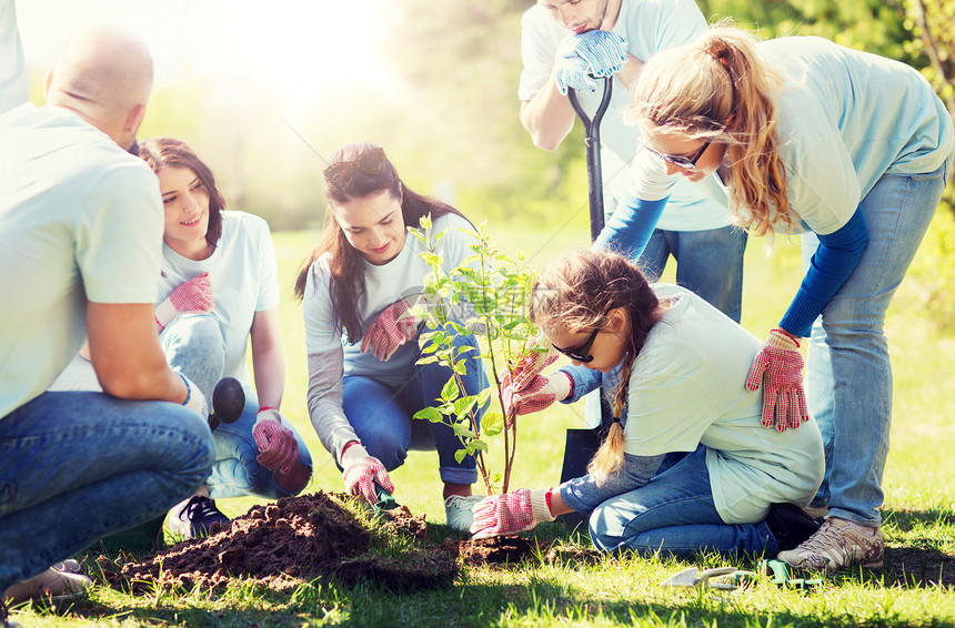 志愿服务慈善人生态理念群快乐的志愿者公园里种植树群志愿者公园植树图片