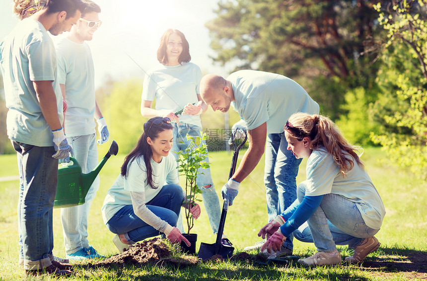 志愿服务慈善人生态理念群快乐的志愿者公园里植树用铲子挖洞群志愿者公园植树群志愿者公园植树图片