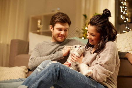 宠物,潮格人们的快乐的夫妇与猫家里快乐的家里猫快乐的家里猫图片