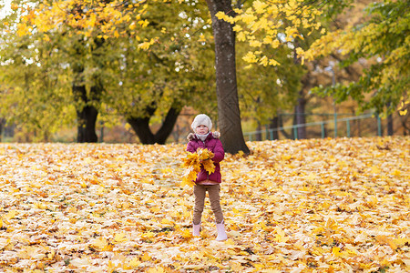 童,季节人的快乐的小女孩秋天的公园玩落叶快乐的女孩秋天的公园玩树叶图片