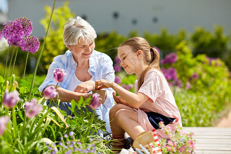 快乐的祖母孙女夏季花园播种花背景图片