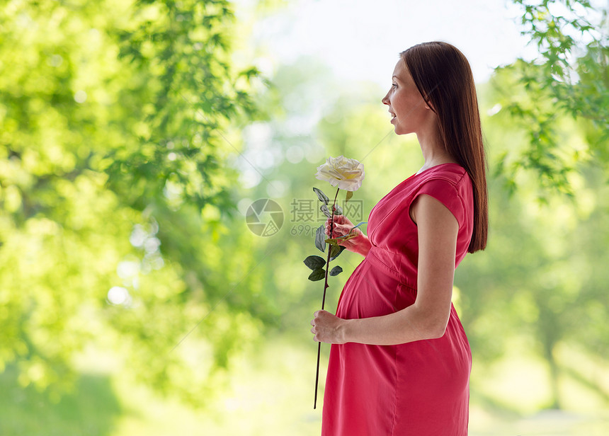 怀孕,母亲,人期望的幸福的孕妇与白色玫瑰花绿色的自然背景快乐的孕妇夏天带着玫瑰花图片