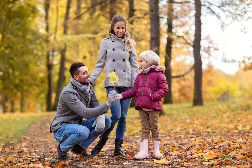 家庭,季节人的快乐的母亲,父亲小女儿秋天的公园枫叶秋天公园枫叶的幸福家庭图片