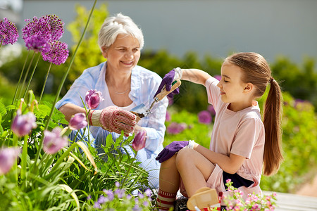 园艺,家庭人的快乐的祖母孙女夏季花园种花祖母女孩花园里种花背景图片