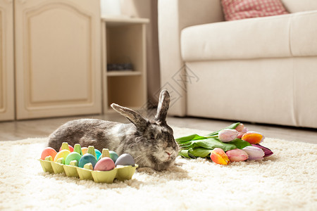 彩虹下兔子复活节兔子房间里的地毯上,五颜六色的鸡蛋房间里的复活节兔子背景