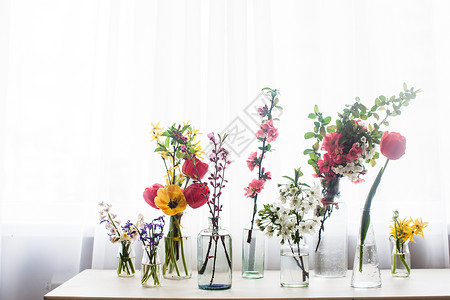 同的美丽的花罐子里,窗户附近的桌子上水桌子上群同的花图片