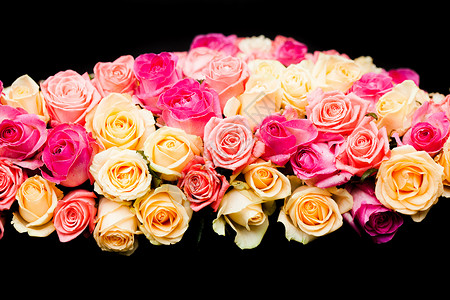 豪华粉红色米色玫瑰边界的黑色背景粉红色米色玫瑰边框背景图片