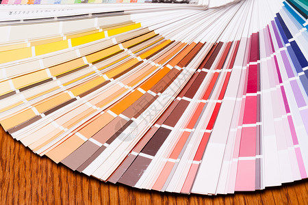 纸样品调色板选择颜色来油漆颜色样本调色板图片