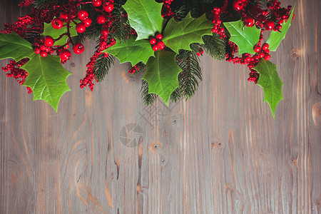 诞节冬青浆果冷杉树枝灰色冬青杉木树枝木墙上背景图片