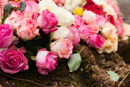 米色粉红色玫瑰背景,图案为婚礼图案玫瑰背景图片