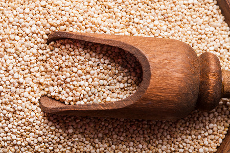 藜麦种植白色藜麦种子放木碗里的木勺子上背景