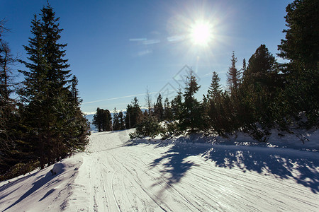 高塔特拉山的滑雪坡寒冷的晴天滑雪坡景观图片
