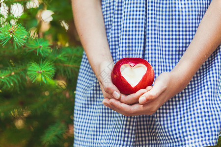 红苹果心形的爱心形的红苹果图片
