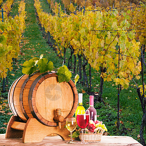 葡萄装瓶的葡萄酒靠近木桶桌上的杯酒,酒厂的红色白色酒庄的图片