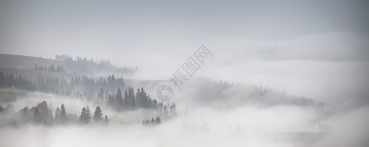 低云覆盖的森林全景秋天的雨雾山上薄雾坠落林地图片