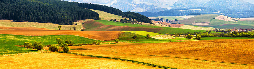 春耕山全景风景如画的犁地斯洛伐克的Tatras山的山谷中耕地的农村景象图片