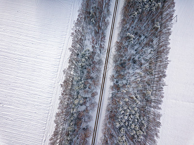 穿过冬天的公园田野树木的鸟瞰景观无人机的摄影图片