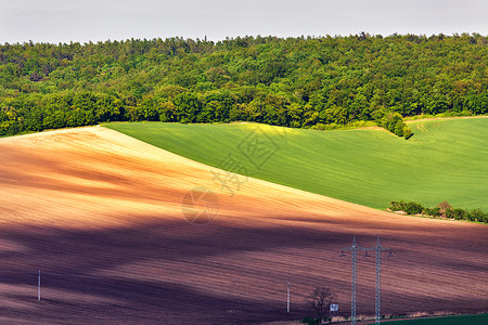 绿色棕色的春天犁地捷克莫拉维亚滚动耕地图片